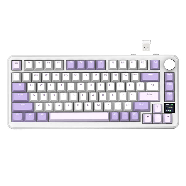 Lavanda / Switch Blueberry (Linear)