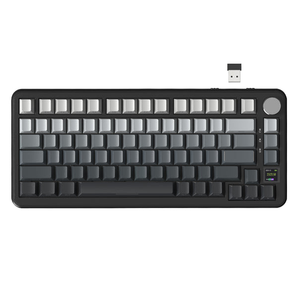 Luar / Switch Blueberry (Linear)