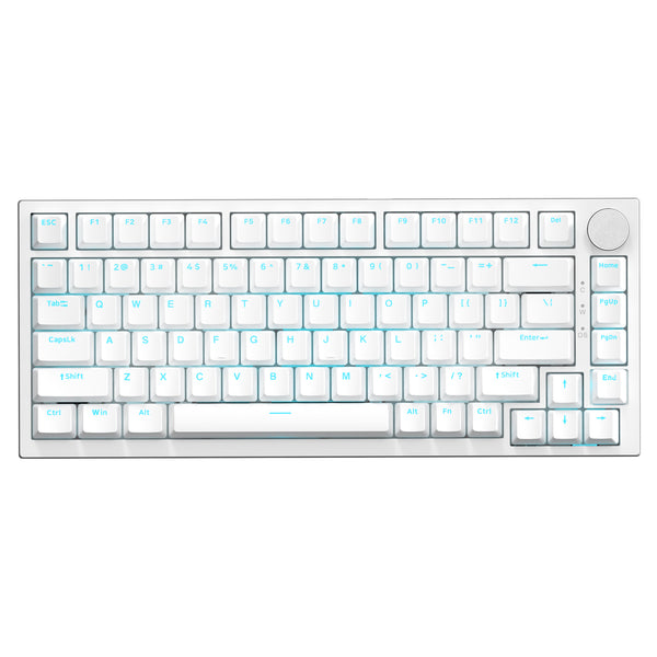 Branco (Switch Azul Clicky, Iluminação Azul Gelo)